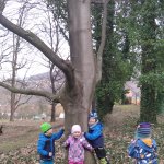 phoca_thumb_m_veverky hledaj jaro 7 Fotogalerie